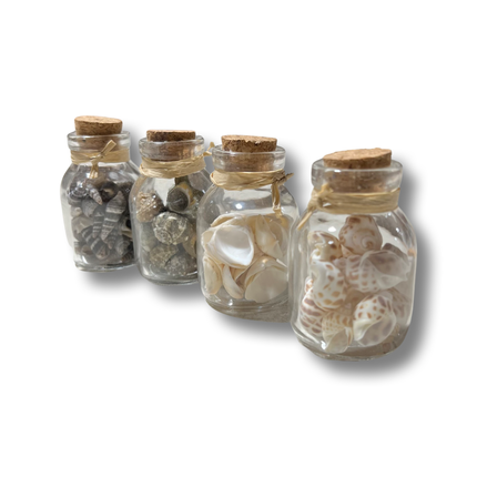 Jar of Seashells Decorative Accents