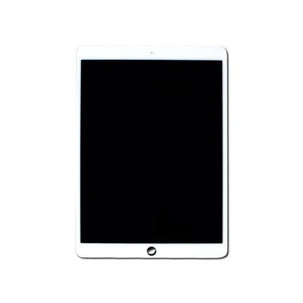 iPad LCD & Screen